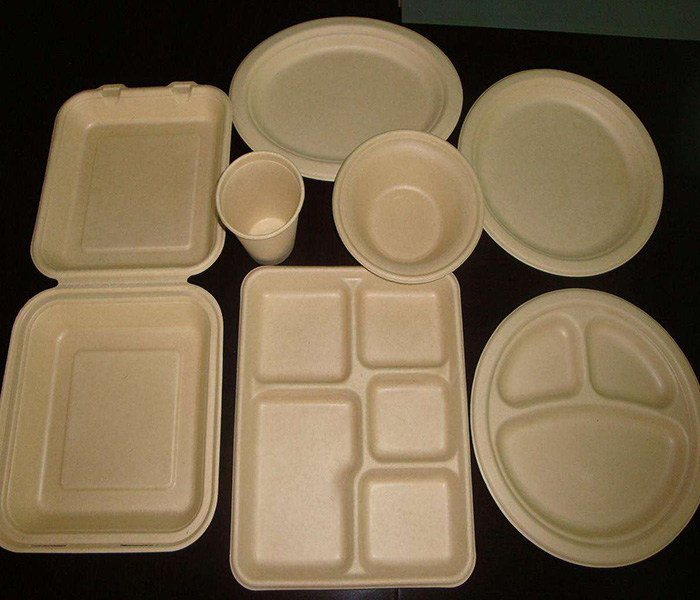 環(huán)保紙漿模塑歷來發(fā)展與應(yīng)用有哪些？